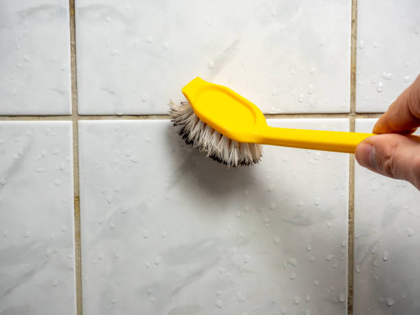 Best Commercial Mold Removal  in Four Square Mile, CO