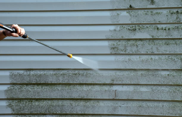 Best Attic Mold Removal  in Four Square Mile, CO