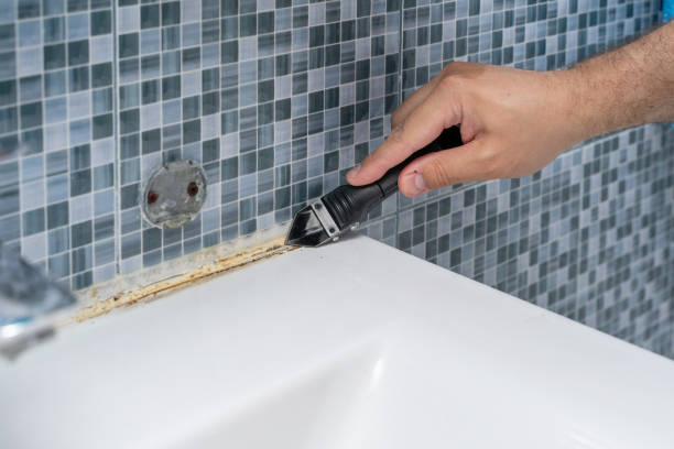 Best Fast Mold Removal  in Four Square Mile, CO