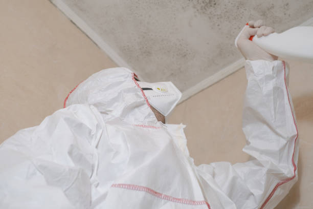 Best Crawl Space Mold Removal  in Four Square Mile, CO